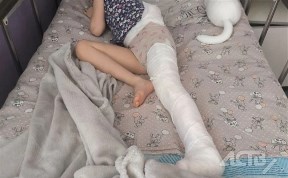 Происшествия