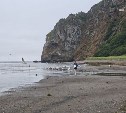 Кому дождь, кому облачно: прогноз погоды для всех районов Сахалинской области на 5 августа