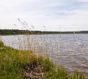 Сахалинская лагуна Буссе стала природным парком