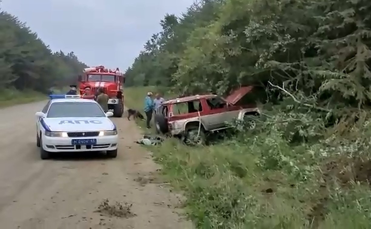 Сахалинец опрокинул авто в кювет на дороге Корсаков-Новиково
