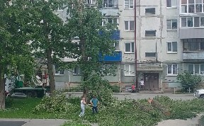 Общество