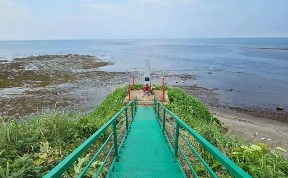 Общество