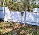 Медведь продолжает разорять дачные участки во Второй Пади