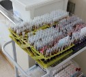 Тонкости диагностики ВИЧ-инфекции изучают сахалинские врачи и лаборанты
