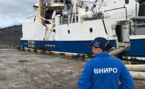 Общество