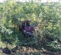 Молодая пассажирка погибла в ДТП в районе Стародубского