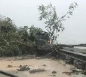 Внедорожник с людьми зажало деревом в Макарове