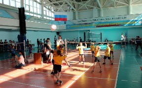 Спорт