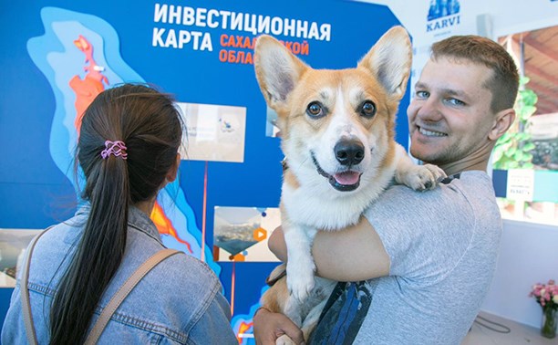 В павильоне Сахалинской области на ВЭФ робот разливает молоко, а женщинам дарили розы В павильоне Сахалинской области на ВЭФ робот разливает молоко, а женщинам дарили розы
