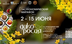 Общество
