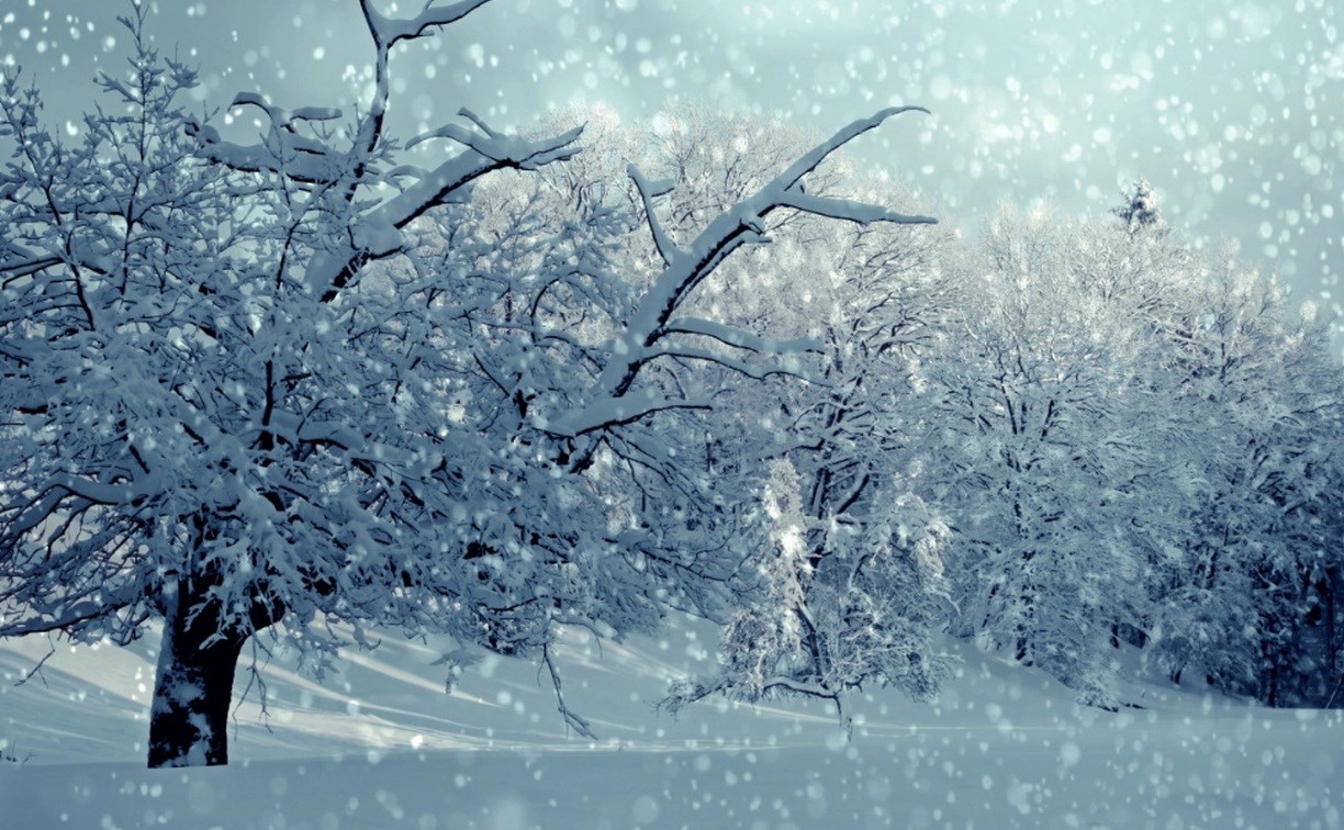 Морозные выходные и сильная метель во вторник: прогноз погоды в Сахалинской области на 20-26 января