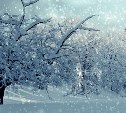 Морозные выходные и сильная метель во вторник: прогноз погоды в Сахалинской области на 20-26 января