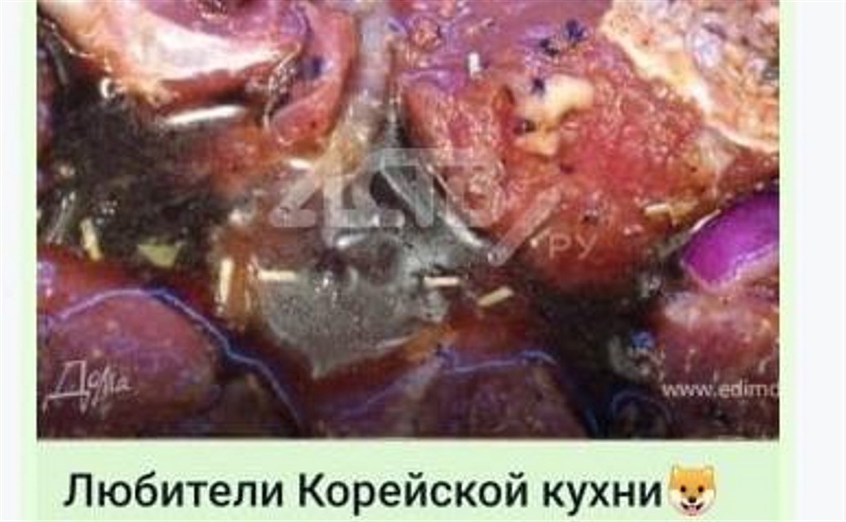 "Берут с рук и едят": на Сахалине создали WhatsApp-группу по приготовлению мяса собак и кошек