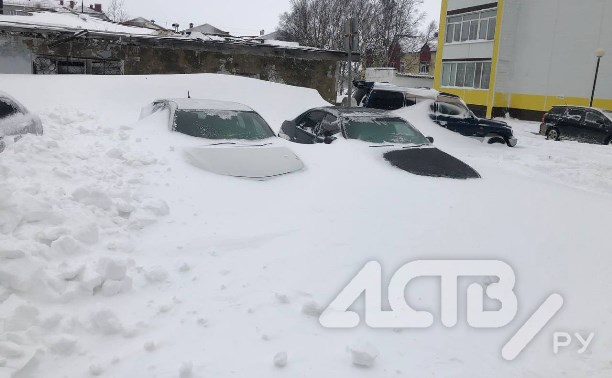 Апрельская метель на Сахалине: утонувшие в снегу машины, разбитые фонари и грустный пёс