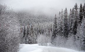 Происшествия