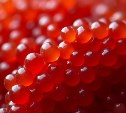 Фальшивую икру сахалинского предприятия-призрака нашли в магазинах России