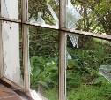 Топор, слезоточивый газ, битые машины, окна и камеры: в Томари разгулялся дебошир