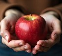 Приход храма святителя Николая Чудотворца к Пасхе собирает продукты для нуждающихся