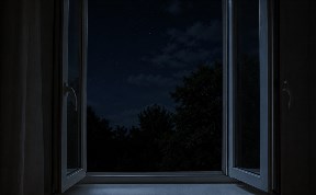 Общество