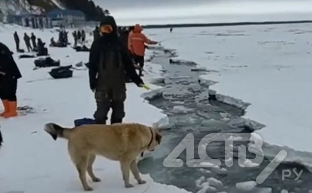 Актуальные кадры со Свободного: лёд сломало, но рыбаки пытаются таскать зубаря из трещины