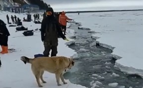 Общество