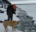 Актуальные кадры со Свободного: лёд сломало, но рыбаки пытаются таскать зубаря из трещины 