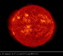 Солнце отдохнуло и набралось сил: учёные предсказывают вспышки высочайшего класса Х