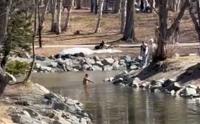 Общество