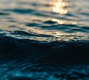 Отец и несовершеннолетний сын утонули в районе Тараная