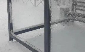 Происшествия