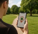 Жителям Южно-Сахалинска предложили сообщать о больных деревьях в парке через специальное приложение 