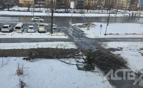 Происшествия