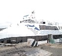"Пингвин-33" за навигацию перевез с Сахалина на Хоккайдо и обратно 1300 пассажиров