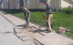 Общество