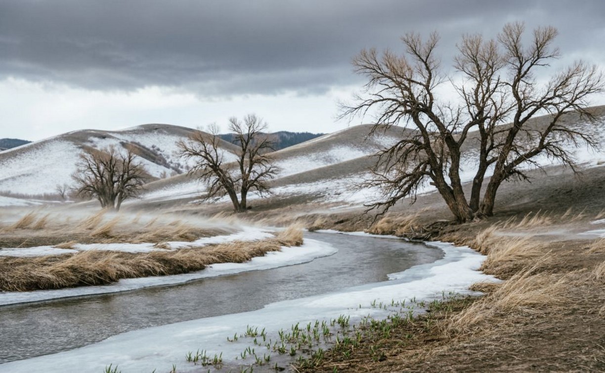 Небольшой снег только на севере: прогноз погоды в Сахалинской области на 9 марта