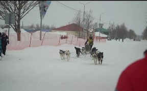 Общество