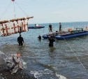 Еще трех косаток выпустили в Охотское море из "китовой тюрьмы"