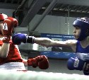 Сахалинские боксеры завоевали четыре медали на турнире в Нерюнгри