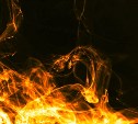 Огонь уничтожил автомобиль и хозпостройку в двух районах Сахалина 