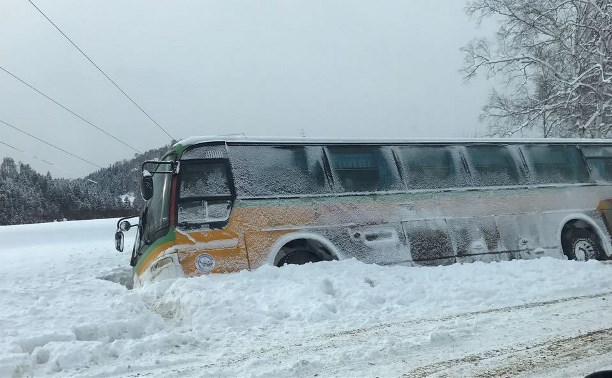 Рейсовый автобус вылетел в кювет в Невельском районе