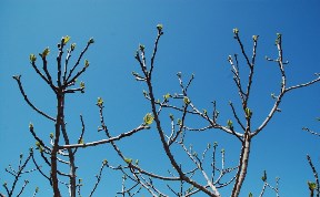 Происшествия