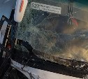 Рейсовый автобус и легковое авто столкнулись на Сахалине: транспорт серьёзно повреждён