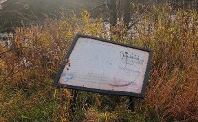 Общество