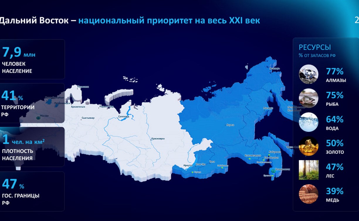 Юрий Трутнев представил депутатам планы по развитию Дальнего Востока и Арктики до 2030 года