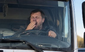 Общество