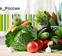 Россельхозбанк запускает информационную кампанию в поддержку российских сельхозпроизводителей