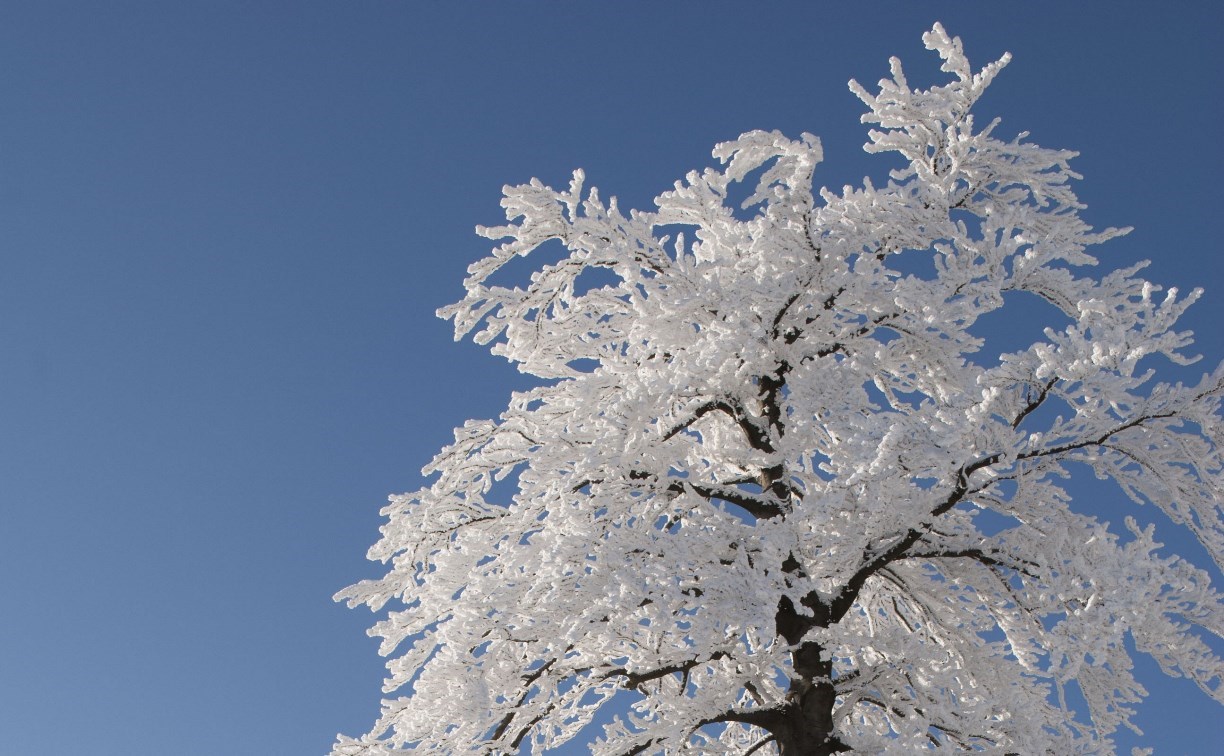 Облачно с прояснениями, на юге днём около 0 °C: погода на Сахалине и Курилах в воскресенье 
