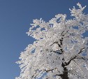 Облачно с прояснениями, на юге днём около 0 °C: погода на Сахалине и Курилах в воскресенье 