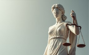 Общество
