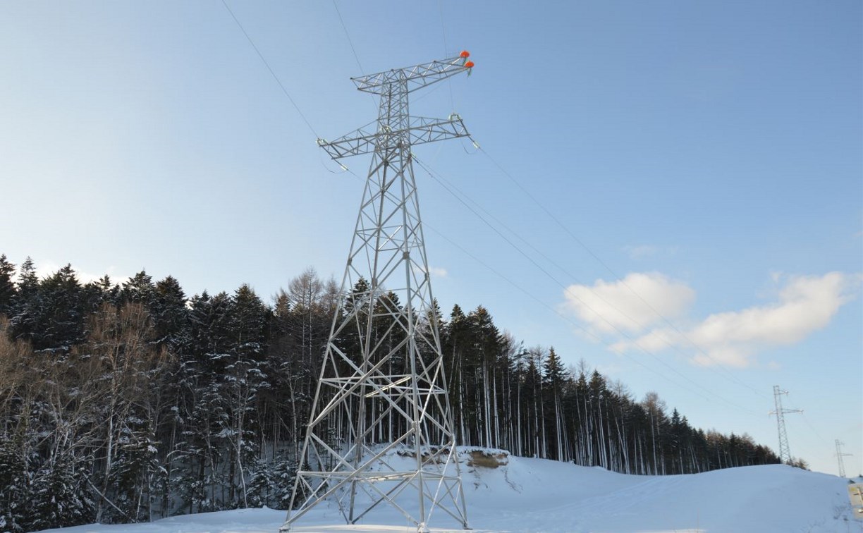 На Сахалине завершили строительство электросетей для подключения "дальневосточных гектаров"